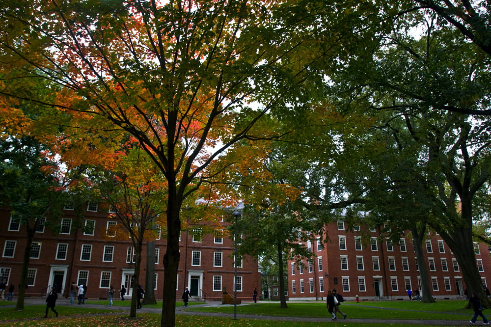 Buildings in Harvard Yard